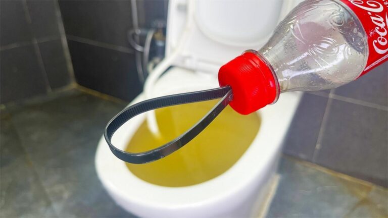 Cette astuce étonnante transforme des bouteilles vides en solutions toilettes efficaces…