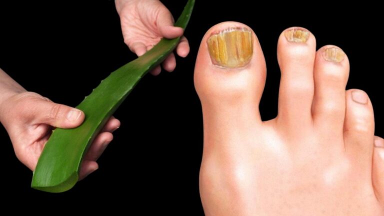 Découvrez cette plante miracle qui transforme votre santé avec des recettes surprenantes…