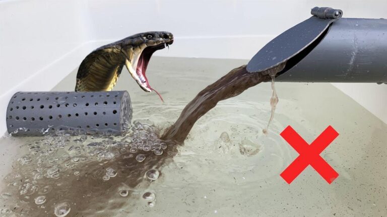 Cette astuce méconnue pour traiter les eaux usées va transformer votre drainage…