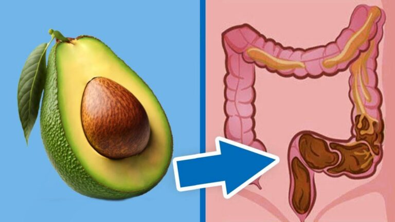 Cette méthode naturelle va transformer votre digestion… découvrez 10 aliments miracles !