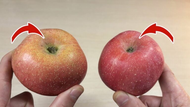 3 astuces infaillibles pour choisir des pommes croquantes et sucrées !