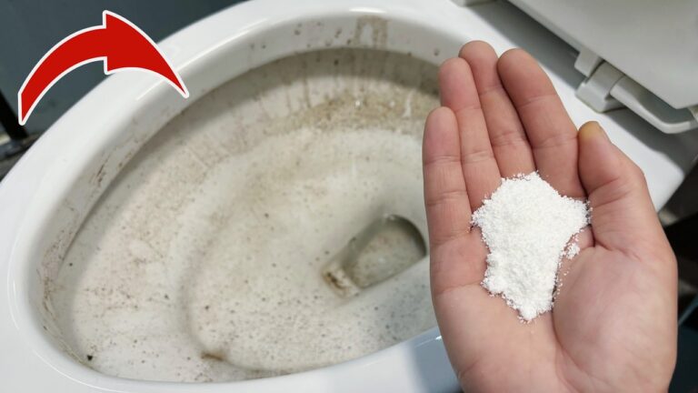 Découvrez 5 astuces pour ne plus jamais utiliser de nettoyant WC !