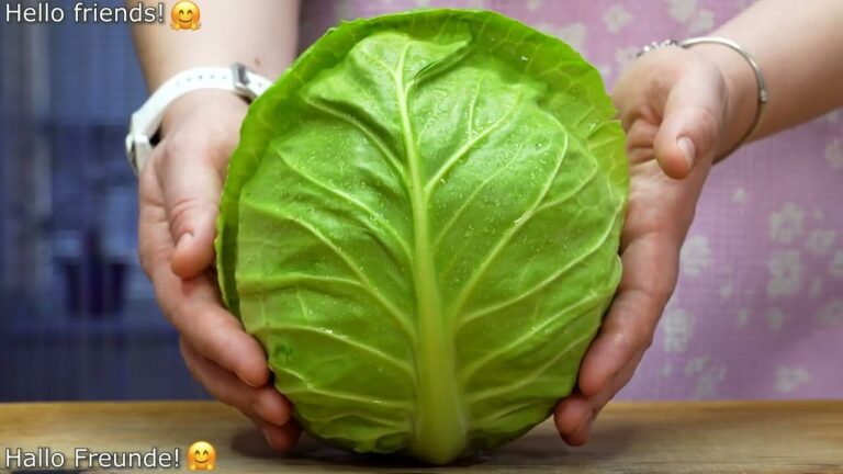 Découvrez ce délicieux plat de chou aux oignons : 5 raisons d’essayer !