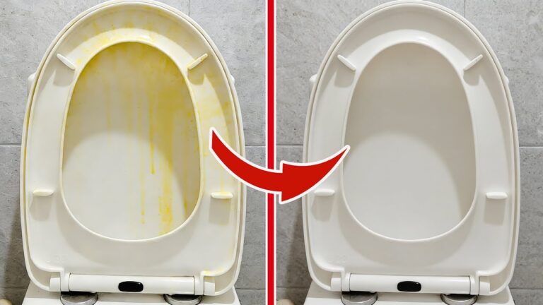 Transformez votre toilette : 5 astuces pour un siège éclatant de blanc !
