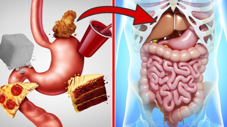 4 symptômes digestifs à ne jamais ignorer pour un ventre en santé !