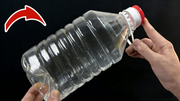 5 idées surprenantes pour réutiliser vos bouteilles d&rsquo;huile vides !
