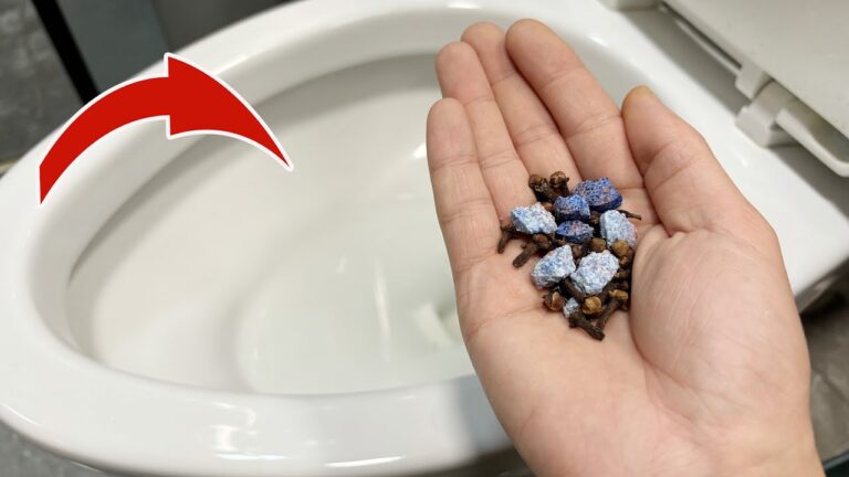 Découvrez 5 astuces pour garder vos toilettes propres sans effort pendant un mois !