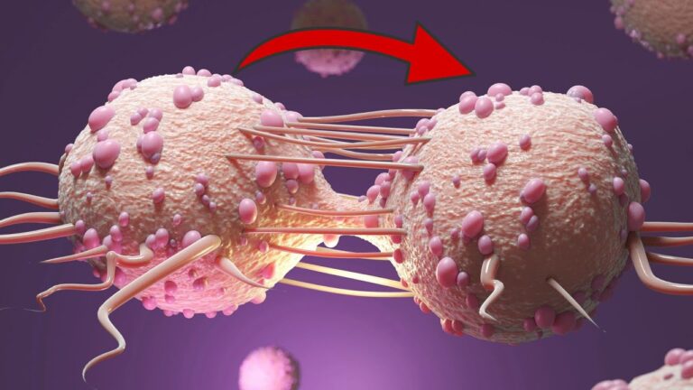 6 signes de cancer à ne pas ignorer pour votre santé !