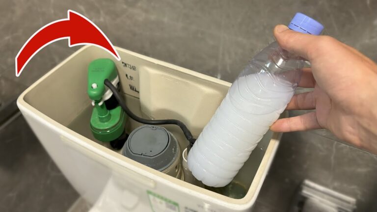 10 astuces pour unWC toujours propre et frais en un instant !