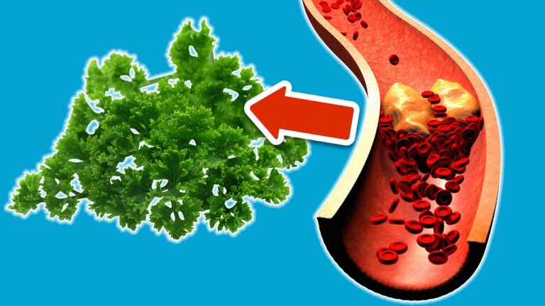 4 aliments naturels pour purifier votre sang efficacement !