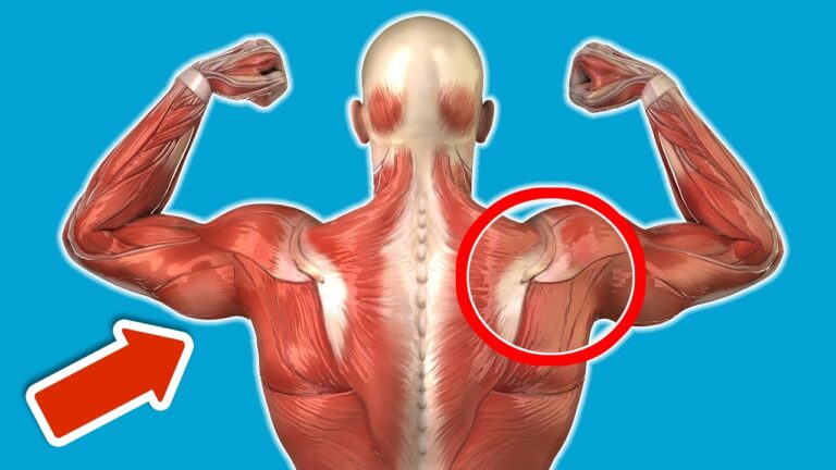 Découvrez 7 bienfaits incroyables des tractions quotidiennes pour votre corps ! 💪🌟