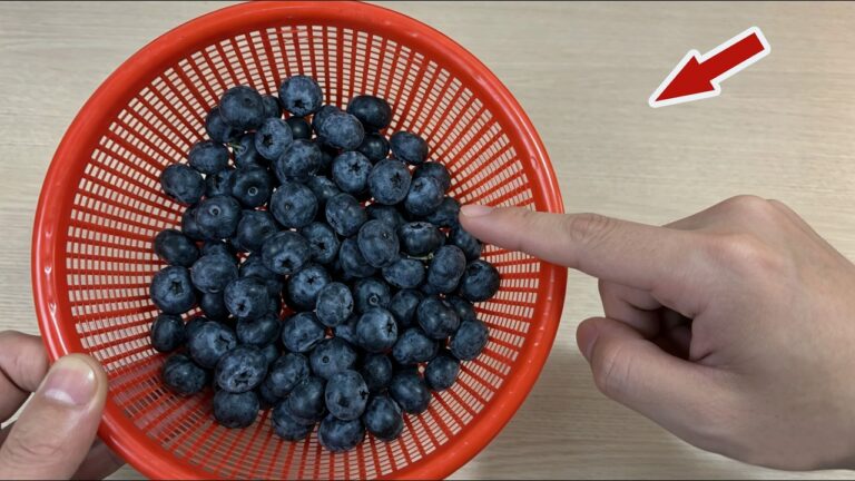 Ne lavez plus vos myrtilles avec de l&rsquo;eau ! 3 astuces étonnantes à découvrir 🍇✨