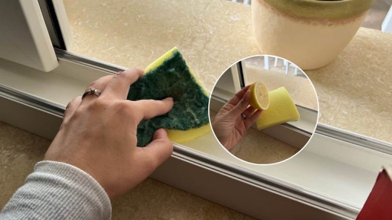 Découvrez comment éliminer la saleté des fissures de vos luminaires grâce à une astuce avec une éponge