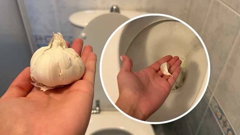 Mettez une gousse d&rsquo;ail dans vos toilettes avant de dormir : découvrez l&rsquo;effet surprenant