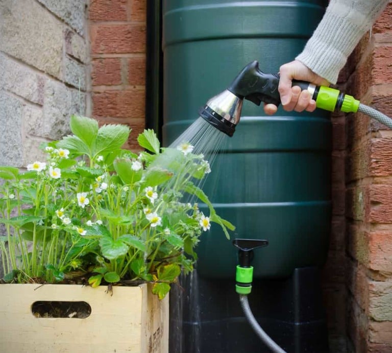 Comment installer un système de collecte des eaux de pluie : 8 idées DIY