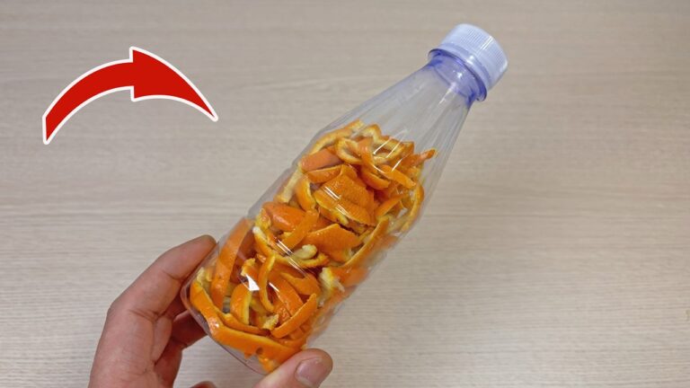 Transformez 5 épluchures d&rsquo;orange en astuces étonnantes à découvrir !