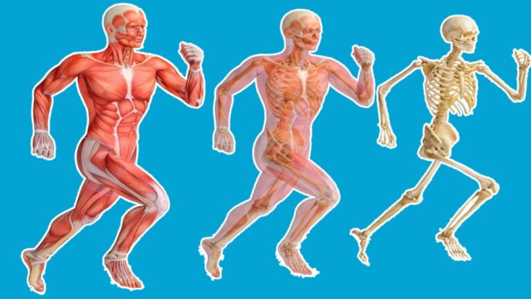 Transformez votre corps en 5 minutes de course quotidienne : découvrez les 7 bienfaits surprenants !