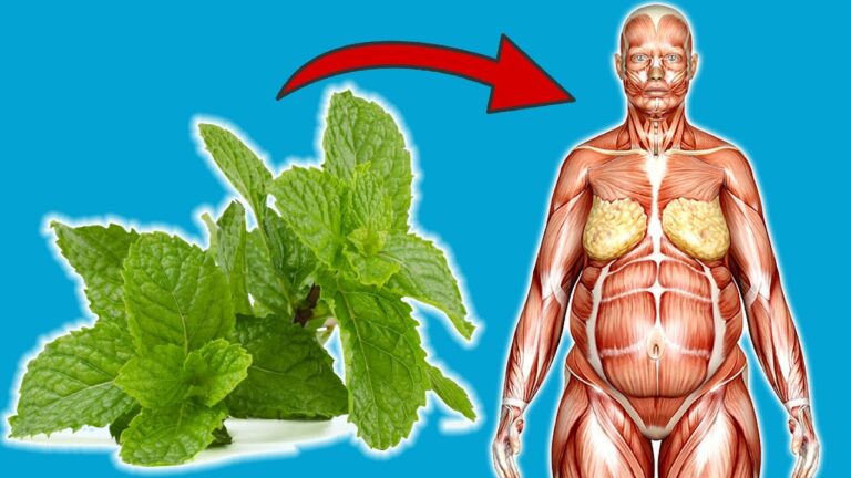 Découvrez 5 bienfaits incroyables de manger de la menthe chaque jour ! 🌿✨
