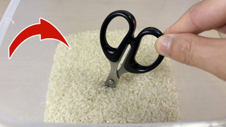 Découvrez 5 astuces surprenantes avec du riz qui vont changer votre quotidien !