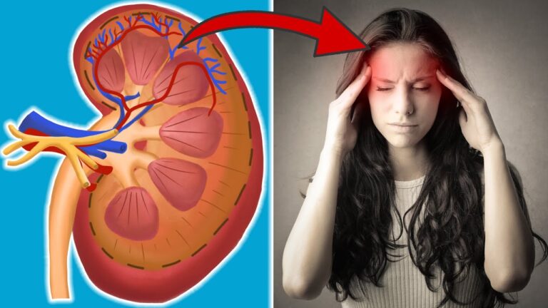 7 signes révélateurs que ta santé rénale nécessite ton attention immédiate