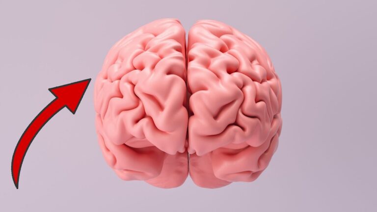5 habitudes quotidiennes qui nuisent à ton cerveau et comment les éviter !