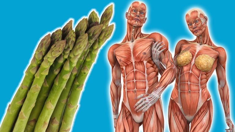 Découvrez 5 bénéfices surprenants d&rsquo;une consommation quotidienne d&rsquo;asperges !