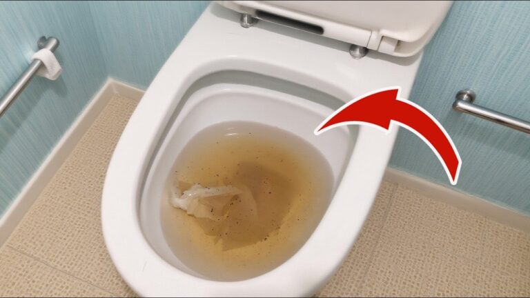 Déboucher vos toilettes en 3 minutes : découvrez ces 2 astuces faciles !
