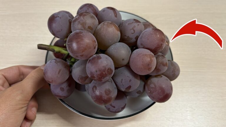 Découvrez 5 astuces pour laver les raisins comme un pro et éviter les impuretés !