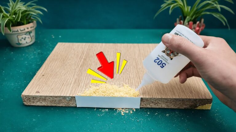 5 étapes simples pour combler les espaces en bois avec de la sciure et de la colle